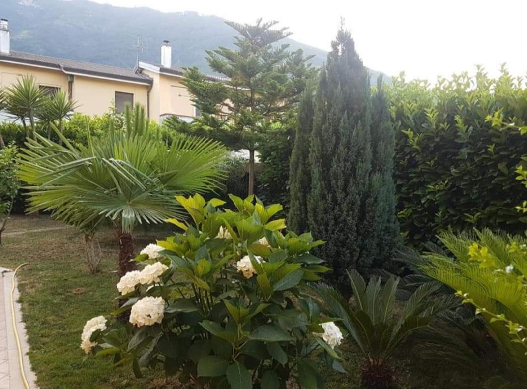 B&B Rossella Montoro Inferiore Dış mekan fotoğraf